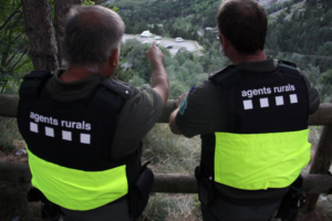 Entrenament Proves Físiques - Agents Rurals